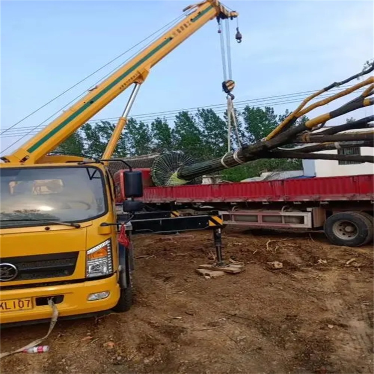 枣阳100吨吊车租赁费用怎么算？3大关键因素+省钱技巧全解析